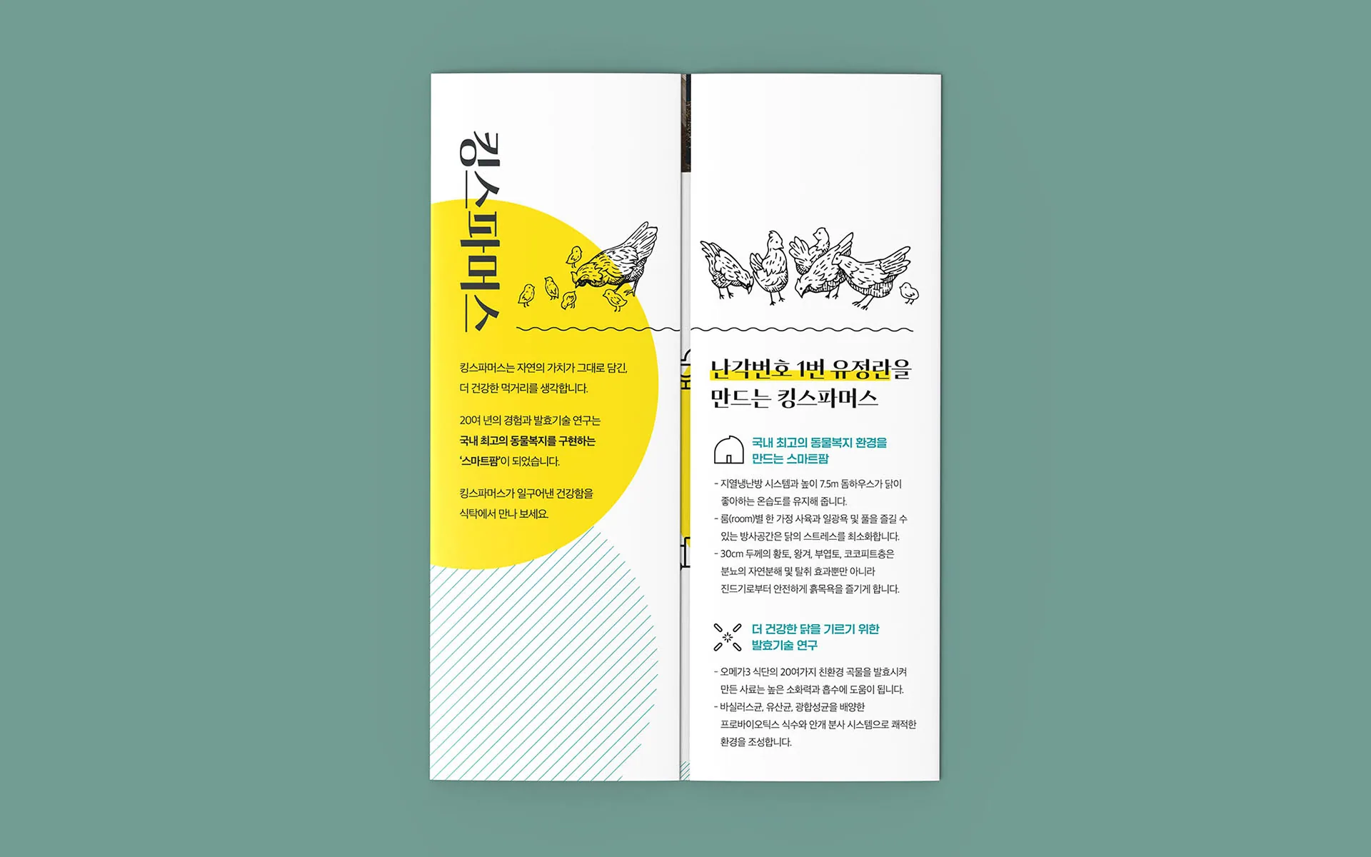 발효기술로 더 건강한 오가닉팜, 킹스파머스 BI — 브랜드 체계 정리와 고객 경험 최적화 컨설팅