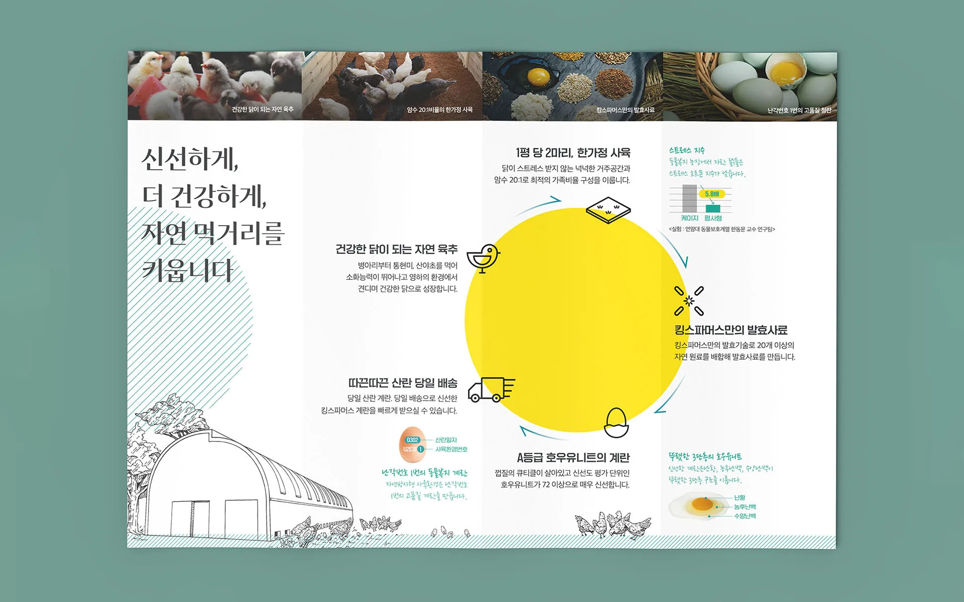 발효기술로 더 건강한 오가닉팜, 킹스파머스 BI — 브랜드 체계 정리와 고객 경험 최적화 컨설팅